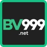 BV999 Game