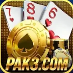 pak3 Game